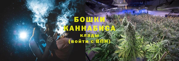 индика Балабаново