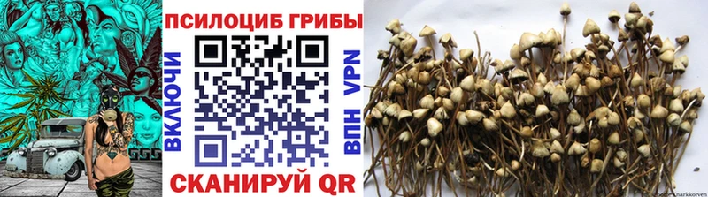 гидра зеркало  Выкса  Галлюциногенные грибы ЛСД 
